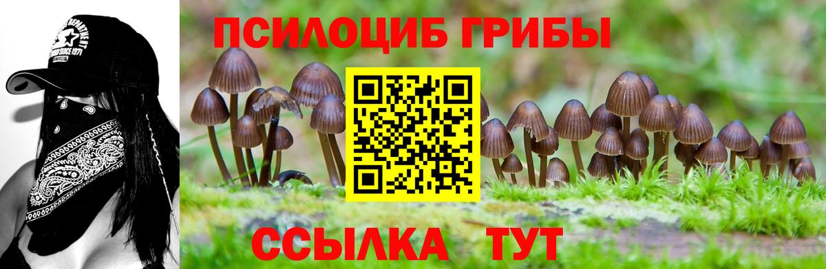 Галлюциногенные грибы Psilocybe  Галлюциногенные грибы Psilocybe  Вход с VPN  Нижнеудинск 